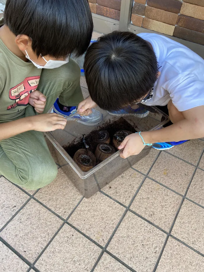 きりんのあくび　kids　ながせ/カブトムシ🤩