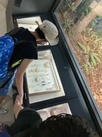 きりんのあくび　kids　ながせ/自然史博物館🦋