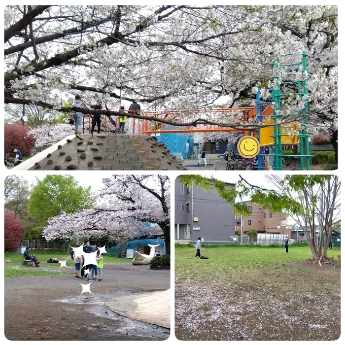 ステラファミリア/♪放デイ稲田公園で遊ぼう♪