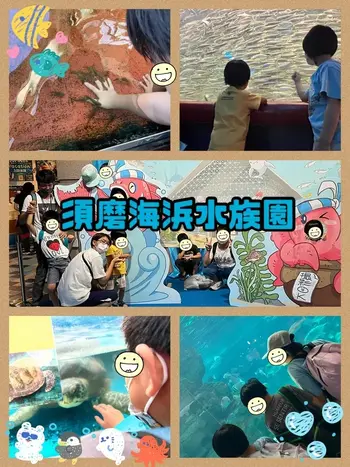 【遊び×社会性】児童発達支援事業所　癒しの森Kidsいくの/外出～須磨海浜水族園～