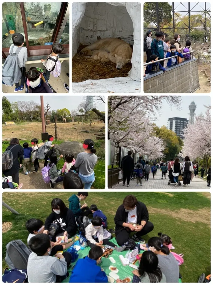 【遊び×社会性】放課後等デイサービス　癒しの森Kidsいくの/お出かけ　天王寺動物園