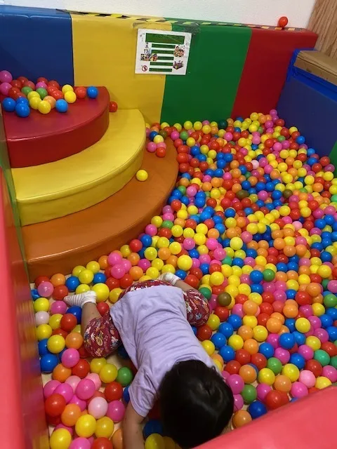 【遊び×社会性】放課後等デイサービス　癒しの森Kidsいくの/癒しの森kidsみくりや交流