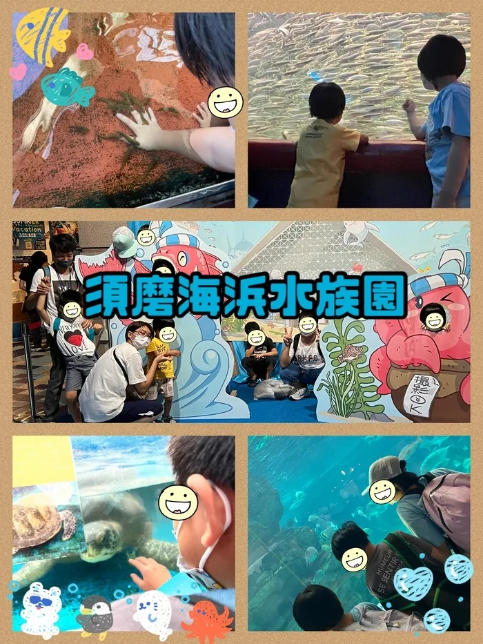 【遊び×社会性】放課後等デイサービス　癒しの森Kidsいくの/外出～須磨海浜水族園～