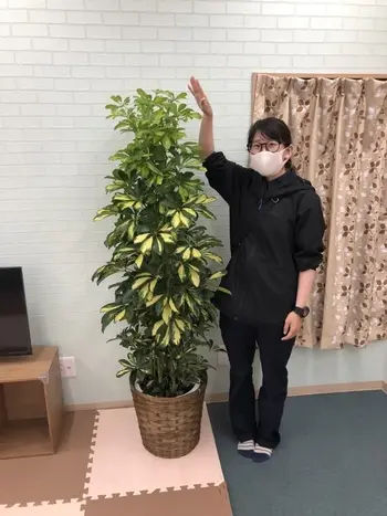 個別療育センターあおぞら　此花教室/おおきな木！！！
