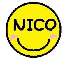 放課後等デイサービス事業所NICO