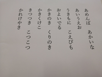 運動・学習療育 カラフルきっず/スタッフの専門性・育成環境