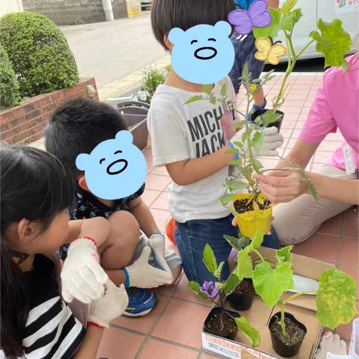 児童発達支援　あていんぷらすわん/野菜の苗植え🍆🍅🥒