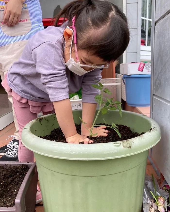 児童発達支援　あていんぷらすわん/野菜の苗植え🥒🍅🫑