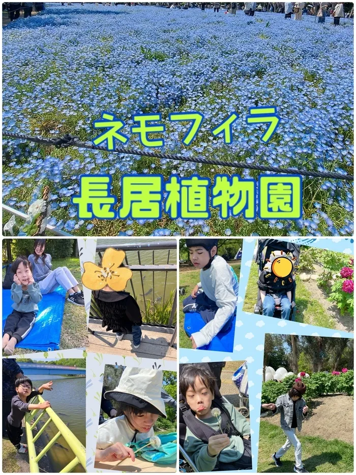 ドクターシロクマの重症心身障がい児デイサービス/☘️ネモフィラ🌱