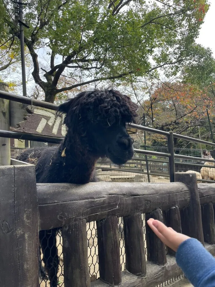 児童発達支援・放課後等デイサービスフロル/五月山動物園🐤