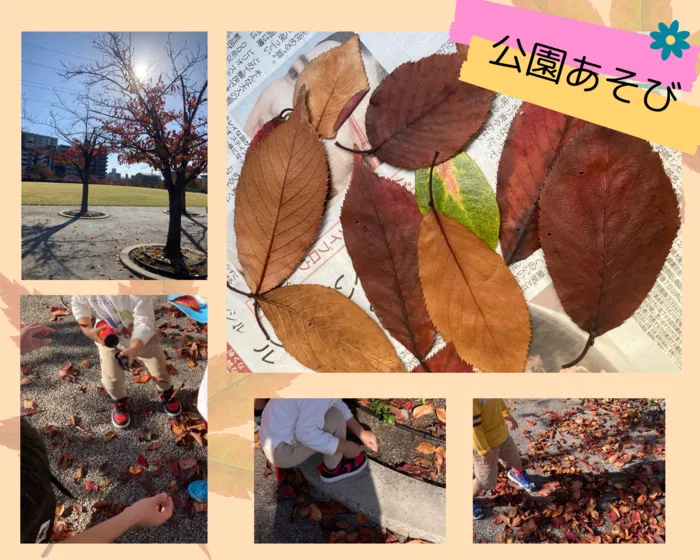 児童発達支援・放課後等デイサービスフロル/🍁公園あそび🍁