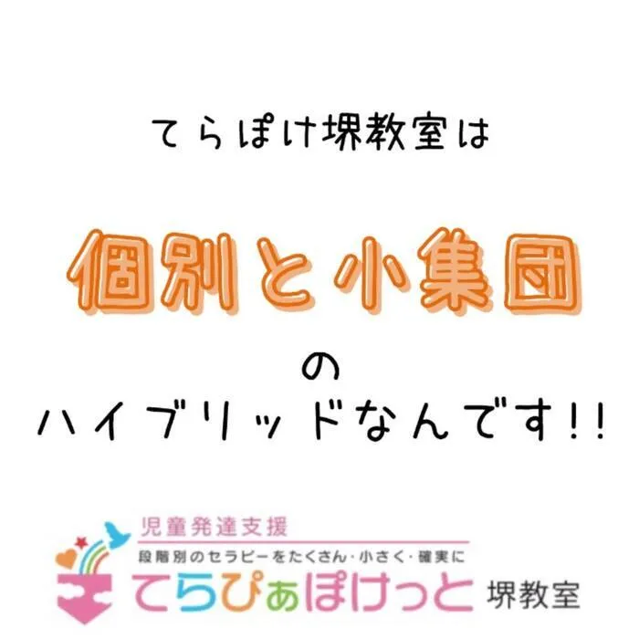 てらぴぁぽけっと　堺教室/てらぽけ堺教室は、個別と小集団のハイブリッドなんです！