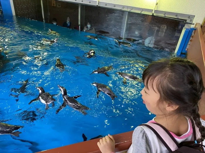 放課後等デイサービス HEARTY/水族館に行ってきました(☆∀☆)