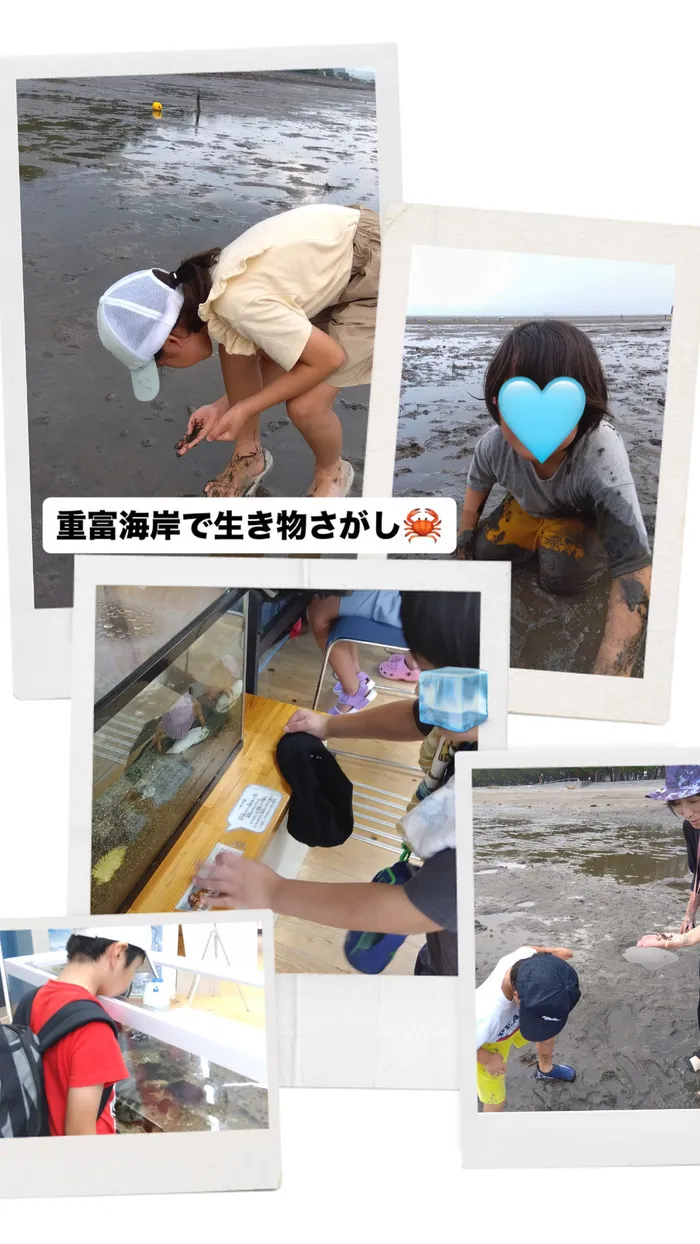 ふぁみさぽここ鹿児島南/ふぁみさぽここの夏休み🍉重富海岸で生き物探し🦀