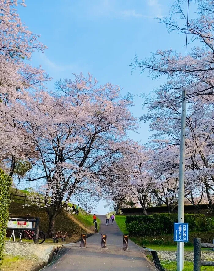 児童発達支援・放課後等デイサービス　チルハピ増田教室/🌸春みいつけた🌸