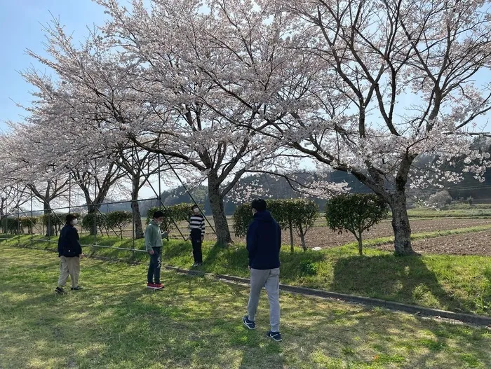 ぴっぴ箱塚/お花見をしました🌸