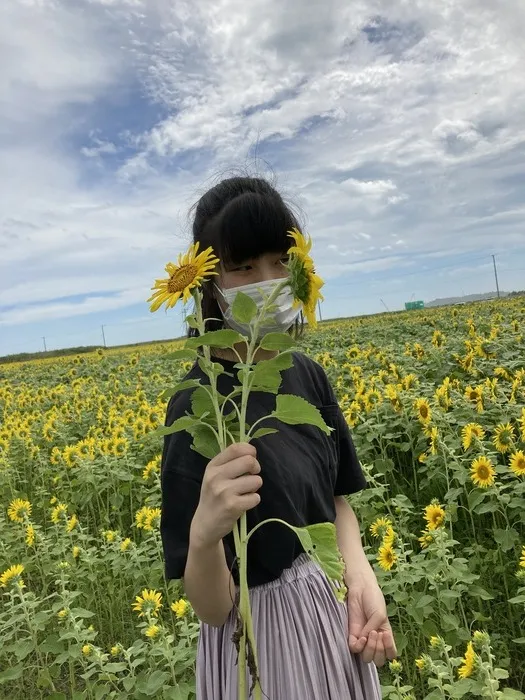 ぴっぴ箱塚/ひまわり畑🌻