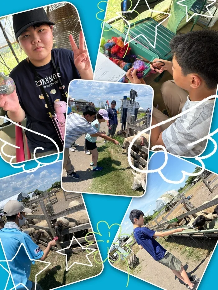HIYOKO STYDY小山教室/HIYOKO STUDY小山教室　ひつじ村🐏