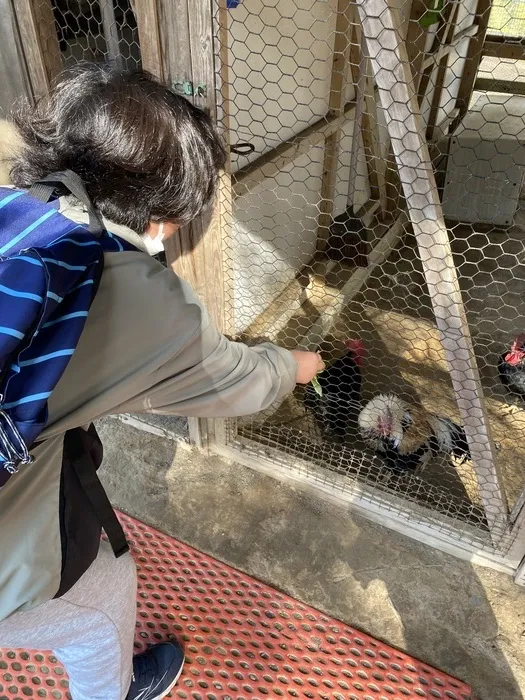 ぴっぴ岩沼/とんとんの丘に行ったよ🐏