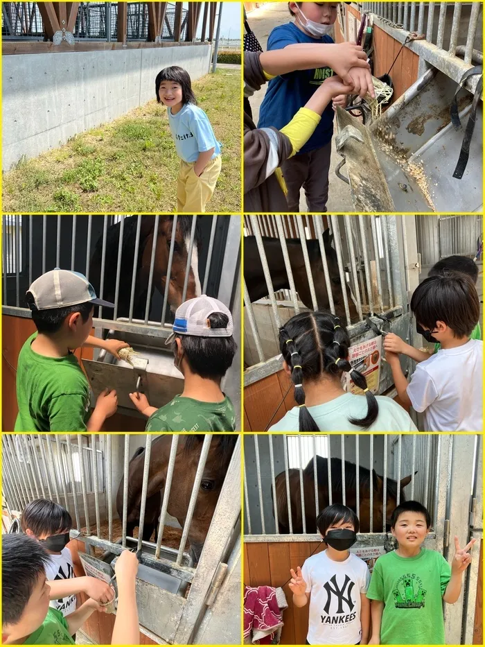 ぴっぴ岩沼/🐎お馬さんに餌やり体験🐎