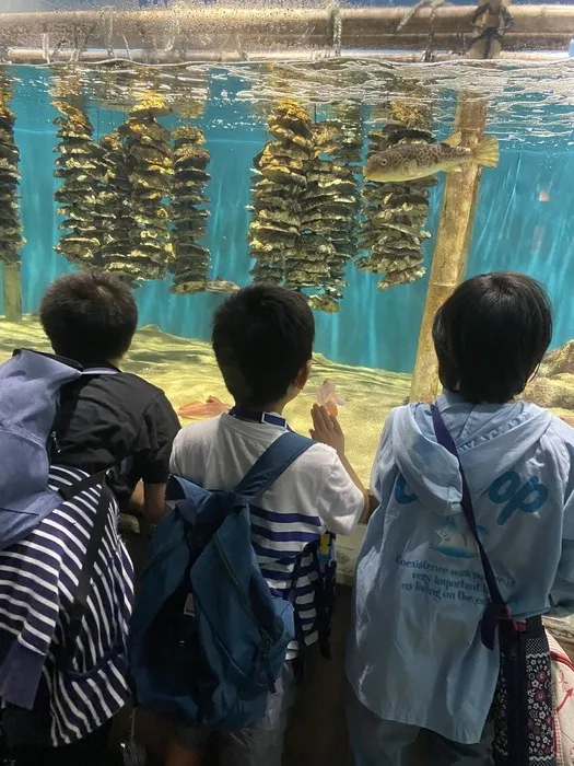 ぴっぴ岩沼/仙台うみの杜水族館へ行ったよ🐟