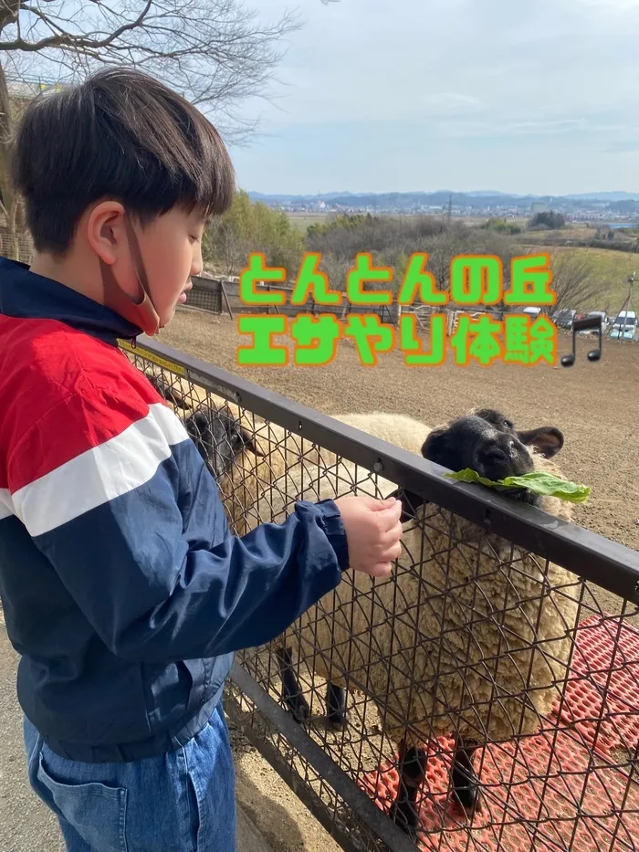 ぴっぴ岩沼/とんとんの丘に行ったよ🐏