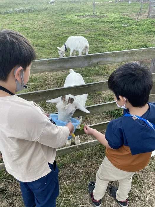 ぴっぴ岩沼/動物にエサやり&ふれあい体験をしたよ🐐🐏