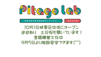 Pitago Lab (ピタゴラボ 城東)