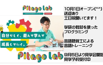 Pitago Lab (ピタゴラボ 城東)
