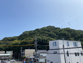 SPROUTS(スプラウト)/外部環境