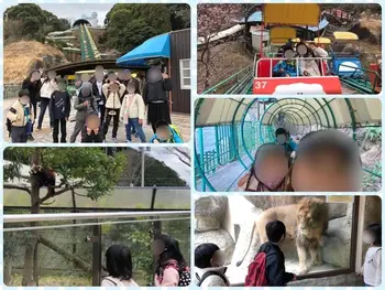 MANABIWORKS/🌟日本平動物園🌟
