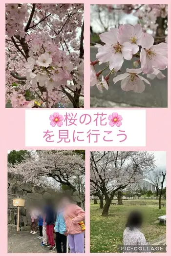 ASOBIWORKS/桜🌸を見に行こう！