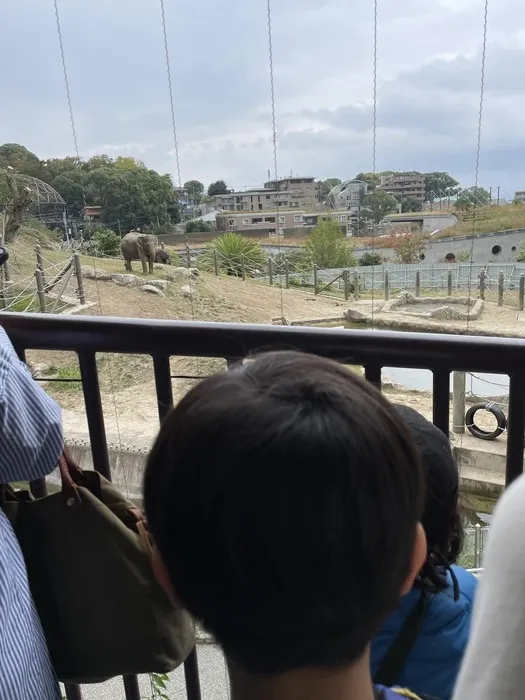 放課後等デイサービス　Happiness kids 下原（ハピネスキッズシモバル）/福岡市動物園🐘🤍