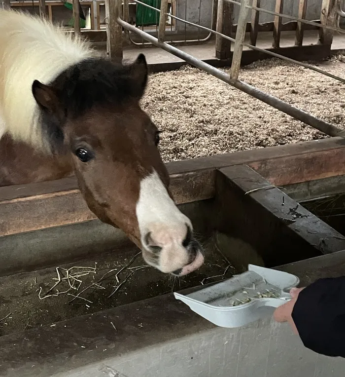 放課後等デイサービス　Happiness kids 下原（ハピネスキッズシモバル）/北九州市立総合農事センター🐎