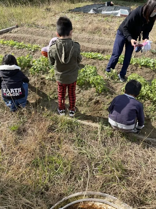 放課後等デイサービス　Happiness kids 下原（ハピネスキッズシモバル）/園芸活動🪴🐛