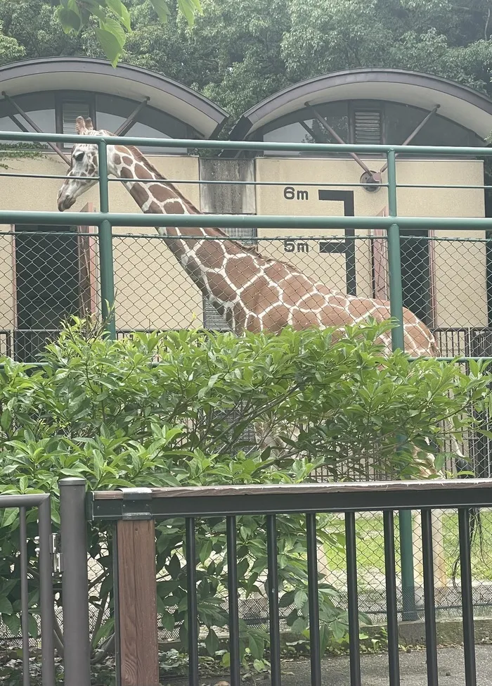 放課後等デイサービス　Happiness kids 下原（ハピネスキッズシモバル）/福岡市動物園🦒✨