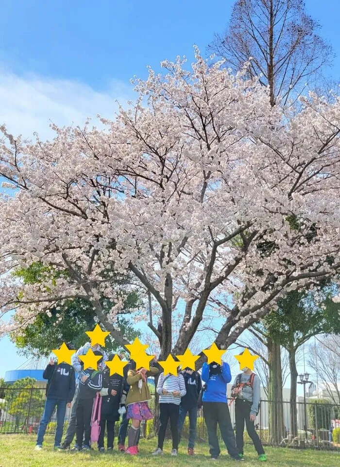 放課後等デイサービスぱすてる新座教室/満開の桜🌸