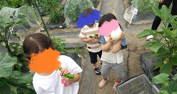 きずな難波/その他