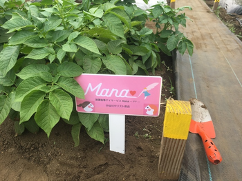 放課後等デイサービス Mana ‘マナ’/その他