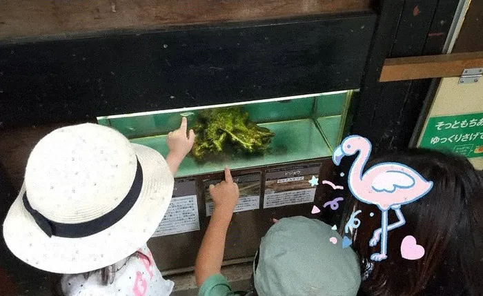 こぱんはうすさくら川口戸塚教室/動物公園