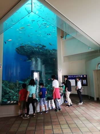 ぱっそ清田/スタッフの専門性・育成環境