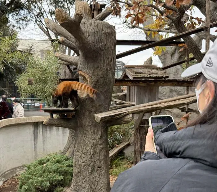 放課後デイサービスtoiro 武蔵小杉/「野毛山動物園」