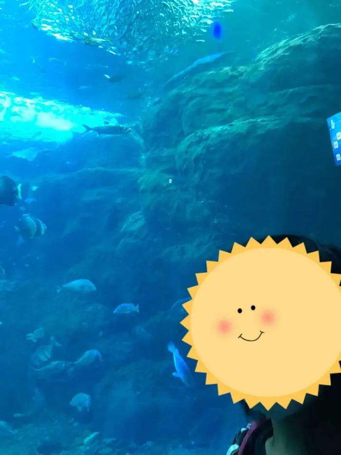 放課後デイサービスtoiro藤沢/新江の島水族館♬