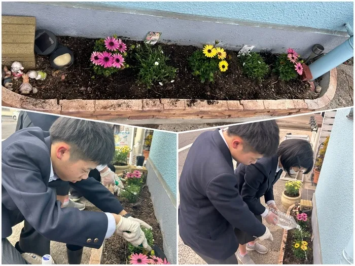 晴る日　泉田事業所/花壇に花を植えました🌷