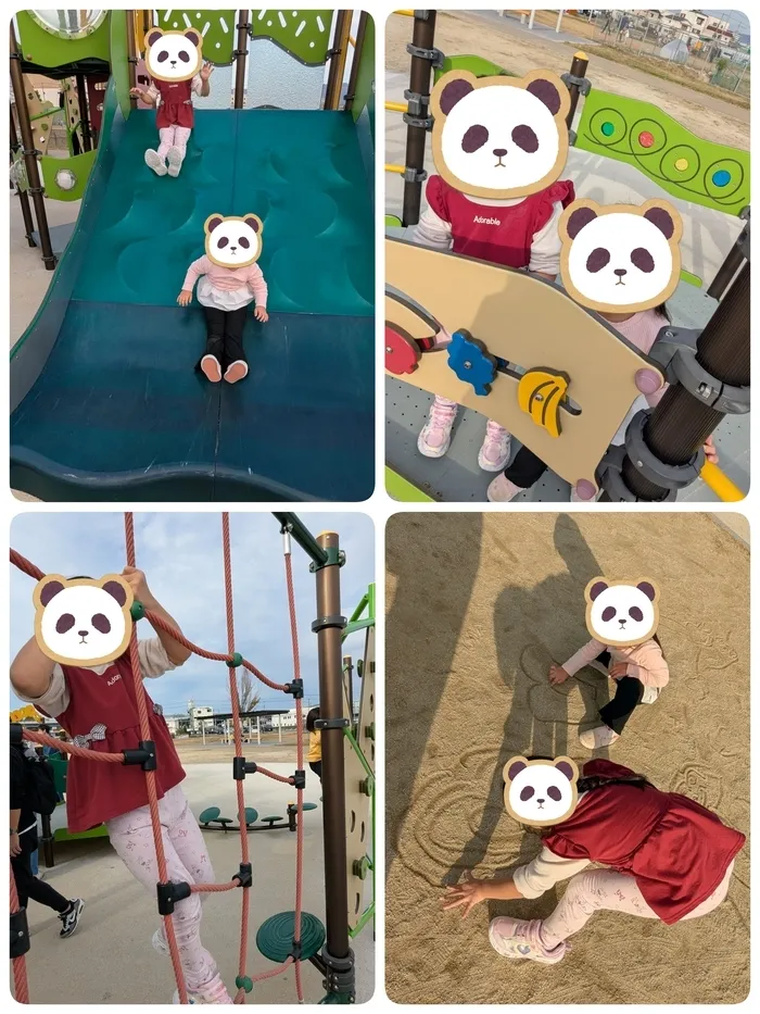 ピースドリームの画像