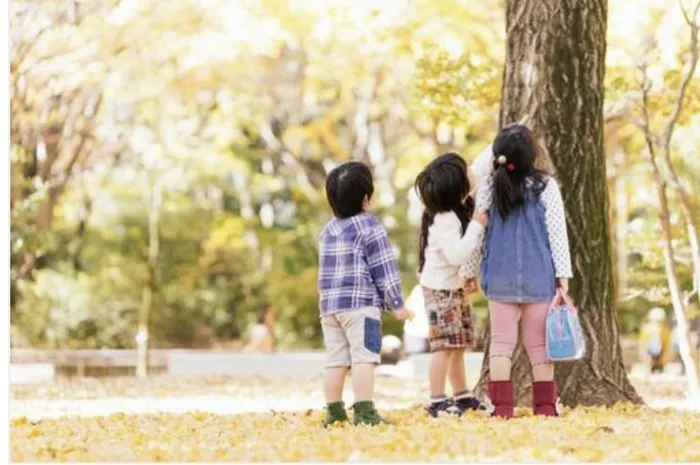 叱られない教室 らいくす 放課後等デイサービス【川口並木教室】/発達が気になる子どもの幼稚園や保育園での「加配制度」とは？④