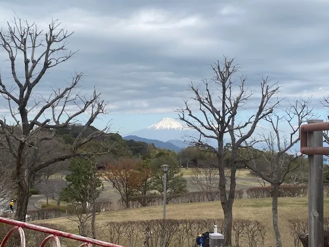 かぶとむしクラブ　番町/富士山の見える公園です。