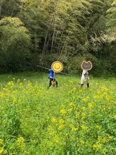 かぶとむしクラブ　番町/菜の花の中を進んで