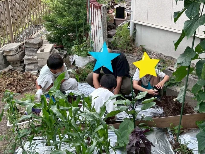 かぶとむしクラブ　番町/野菜の苗を植えました🌱