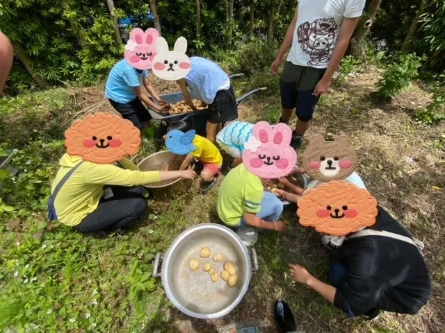 かぶとむしクラブ　番町/収穫です。